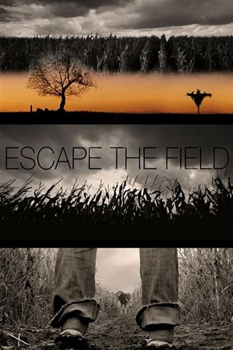 Warriors on the Field (2022) — The Movie Database (TMDB).